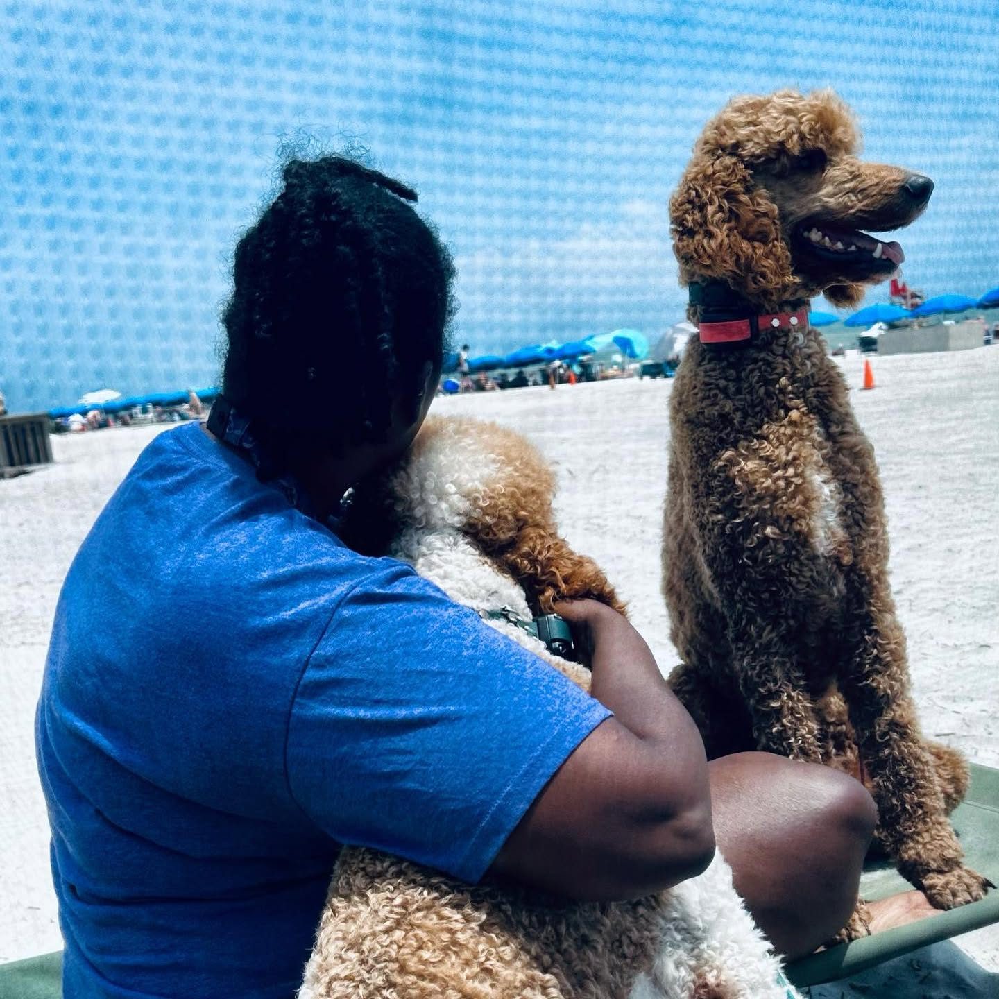 Mario with a poodle at the beach
